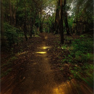 Sendero Riocedro
